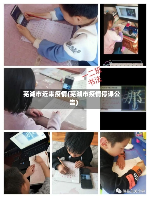 芜湖市近来疫情(芜湖市疫情停课公告)-第3张图片