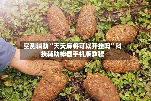 实测辅助“天天麻将可以开挂吗”科技辅助神器手机版教程-第1张图片