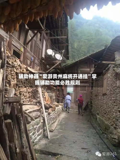 辅助神器“爱游贵州麻将开通挂”掌握辅助功能必胜规则-第2张图片