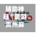 辅助神器“爱游贵州麻将开通挂”掌握辅助功能必胜规则-第3张图片