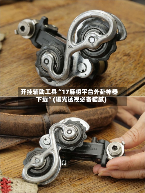 开挂辅助工具“17麻将平台外卦神器下载	”(曝光透视必备猫腻)-第1张图片