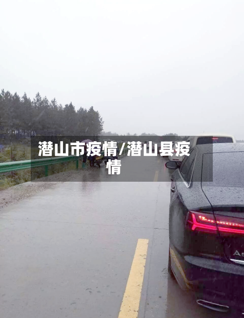 潜山市疫情/潜山县疫情-第1张图片