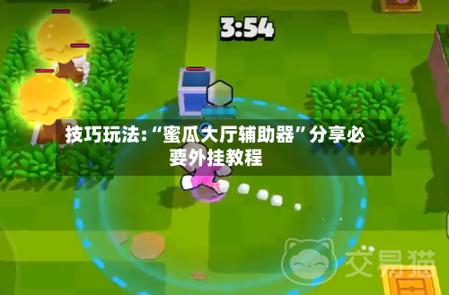 技巧玩法:“蜜瓜大厅辅助器”分享必要外挂教程-第2张图片