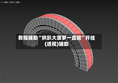 教程辅助“拱趴大菠萝一直输”开挂(透视)辅助-第1张图片