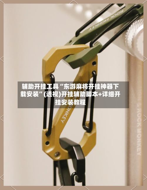 辅助开挂工具“东游麻将开挂神器下载安装	”(透视)开挂辅助脚本+详细开挂安装教程-第3张图片