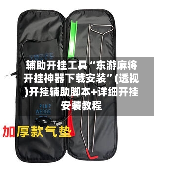 辅助开挂工具“东游麻将开挂神器下载安装”(透视)开挂辅助脚本+详细开挂安装教程-第1张图片