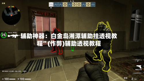 辅助神器：白金岛湘潭辅助挂透视教程	”(作弊)辅助透视教程-第2张图片