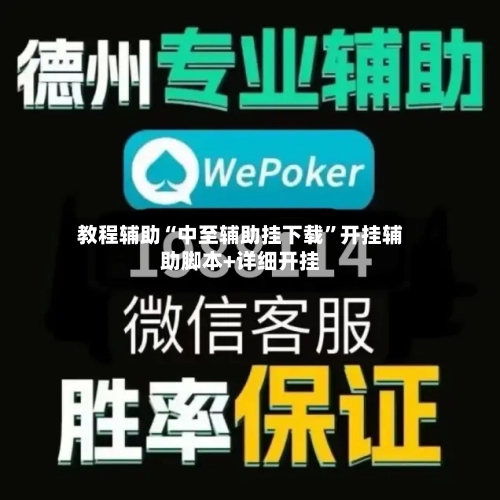 教程辅助“中至辅助挂下载”开挂辅助脚本+详细开挂-第2张图片