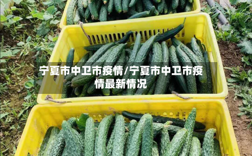 宁夏市中卫市疫情/宁夏市中卫市疫情最新情况-第1张图片