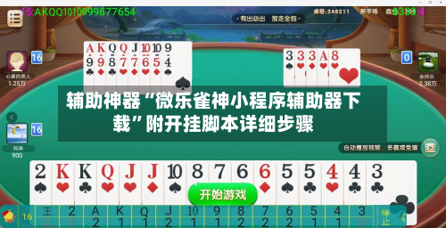 辅助神器“微乐雀神小程序辅助器下载”附开挂脚本详细步骤-第2张图片