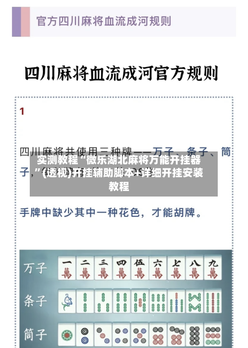 实测教程“微乐湖北麻将万能开挂器	”(透视)开挂辅助脚本+详细开挂安装教程-第1张图片