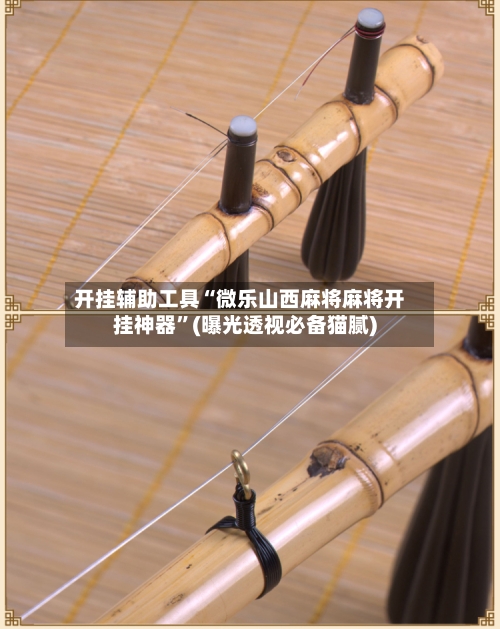 开挂辅助工具“微乐山西麻将麻将开挂神器	”(曝光透视必备猫腻)-第1张图片