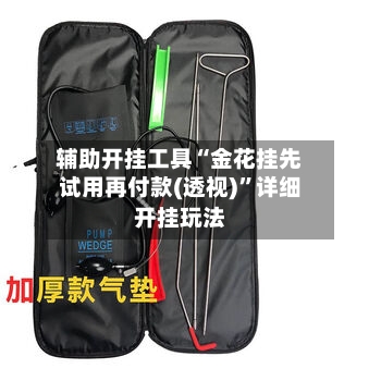 辅助开挂工具“金花挂先试用再付款(透视)	”详细开挂玩法-第1张图片