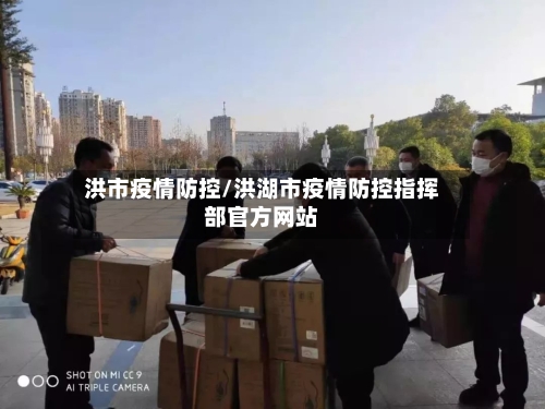 洪市疫情防控/洪湖市疫情防控指挥部官方网站-第1张图片