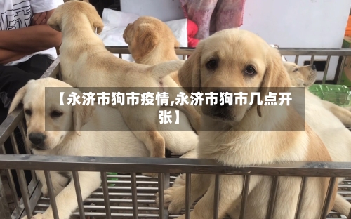 【永济市狗市疫情,永济市狗市几点开张】-第2张图片