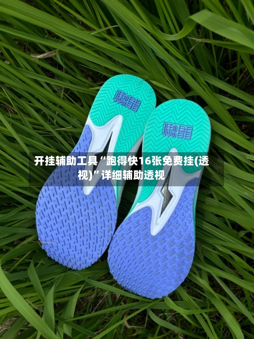 开挂辅助工具“跑得快16张免费挂(透视)	”详细辅助透视-第2张图片