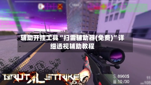 辅助开挂工具“扫雷辅助器(免费)”详细透视辅助教程-第2张图片