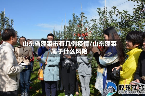 山东省蓬莱市有几例疫情/山东蓬莱属于什么风险-第1张图片