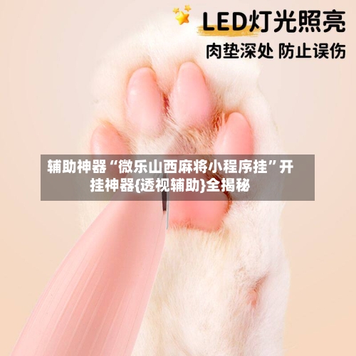 辅助神器“微乐山西麻将小程序挂”开挂神器{透视辅助}全揭秘-第2张图片