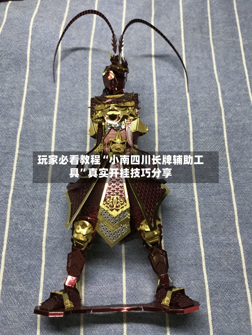 玩家必看教程“小南四川长牌辅助工具”真实开挂技巧分享-第1张图片