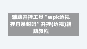 辅助开挂工具“wpk透视挂容易封吗”开挂(透视)辅助教程-第1张图片