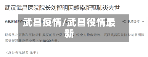 武昌疫情/武昌役情最新-第2张图片