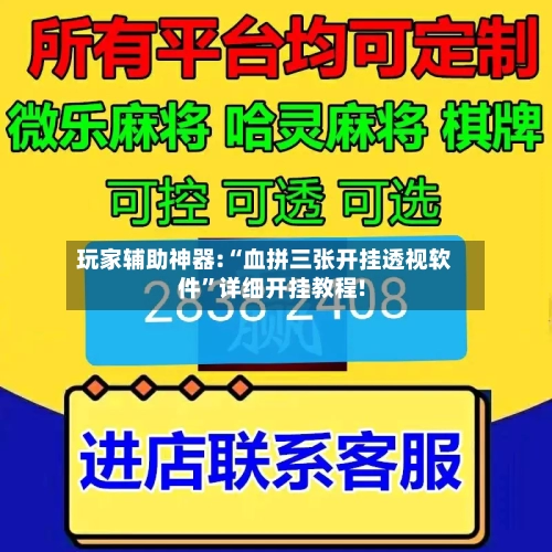 玩家辅助神器:“血拼三张开挂透视软件	”详细开挂教程!-第2张图片