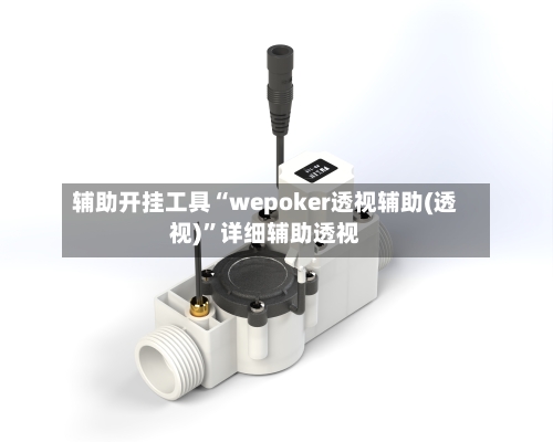 辅助开挂工具“wepoker透视辅助(透视)”详细辅助透视-第3张图片
