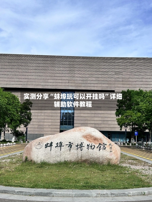 实测分享“蚌埠玩可以开挂吗”详细辅助软件教程-第2张图片