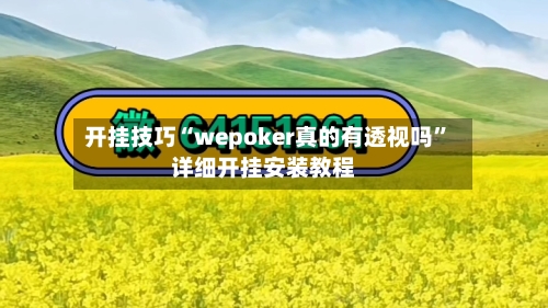 开挂技巧“wepoker真的有透视吗”详细开挂安装教程-第1张图片