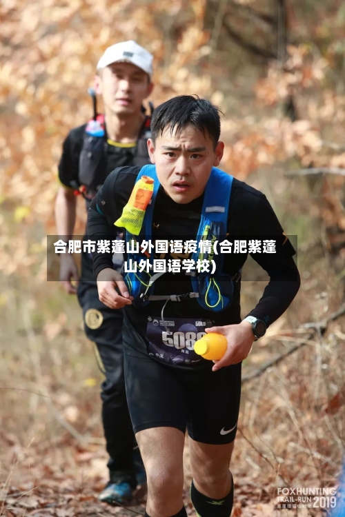 合肥市紫蓬山外国语疫情(合肥紫蓬山外国语学校)-第2张图片