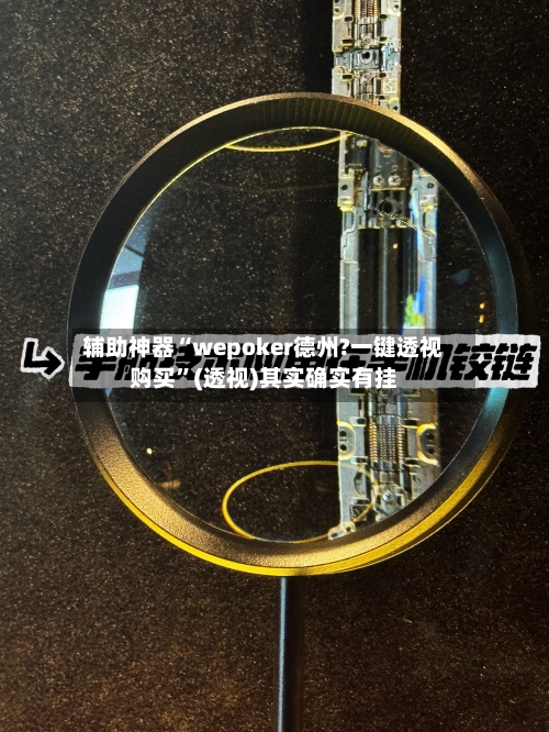 辅助神器“wepoker德州?一键透视购买”(透视)其实确实有挂-第1张图片