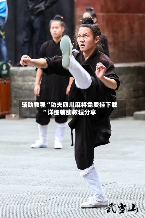 辅助教程“功夫四川麻将免费挂下载	”详细辅助教程分享-第1张图片