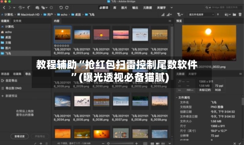 教程辅助“抢红包扫雷控制尾数软件”(曝光透视必备猫腻)-第2张图片