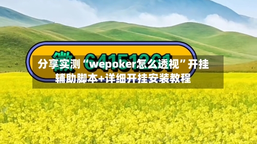 分享实测“wepoker怎么透视”开挂辅助脚本+详细开挂安装教程-第3张图片