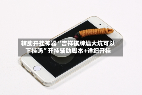 辅助开挂神器“吉祥棋牌填大坑可以下挂吗”开挂辅助脚本+详细开挂-第3张图片