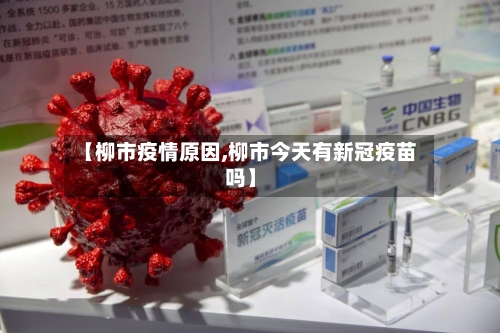 【柳市疫情原因,柳市今天有新冠疫苗吗】-第1张图片