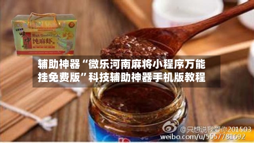 辅助神器“微乐河南麻将小程序万能挂免费版	”科技辅助神器手机版教程-第2张图片