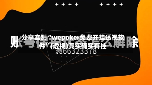 分享实测“wepoker免费开挂透视软件”(透视)其实确实有挂-第2张图片