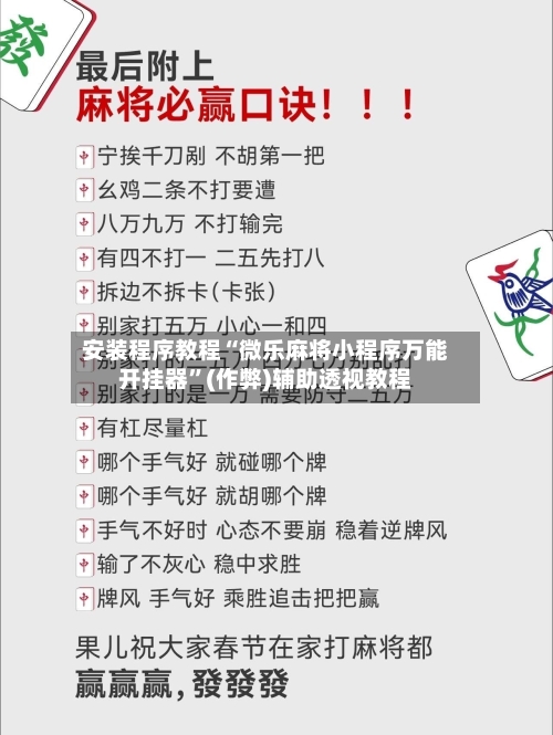 安装程序教程“微乐麻将小程序万能开挂器”(作弊)辅助透视教程-第3张图片